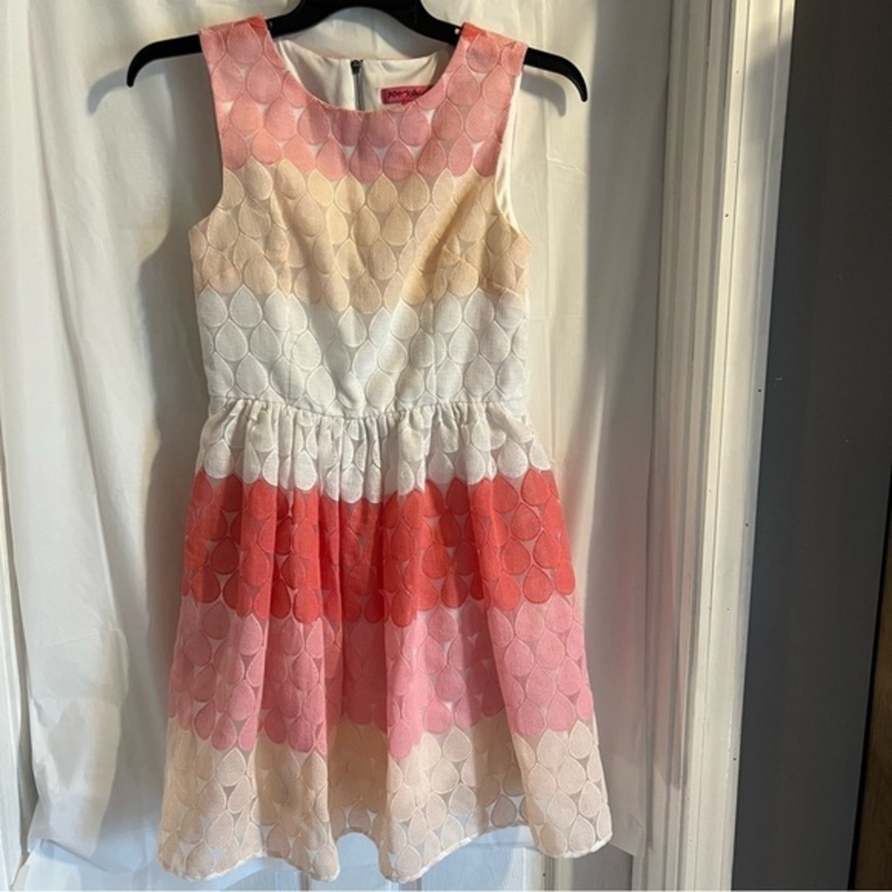 Betsey Johnson Ombré Embroidered Raindrop Mesh Overlay Fit & Flare Womens Size 6